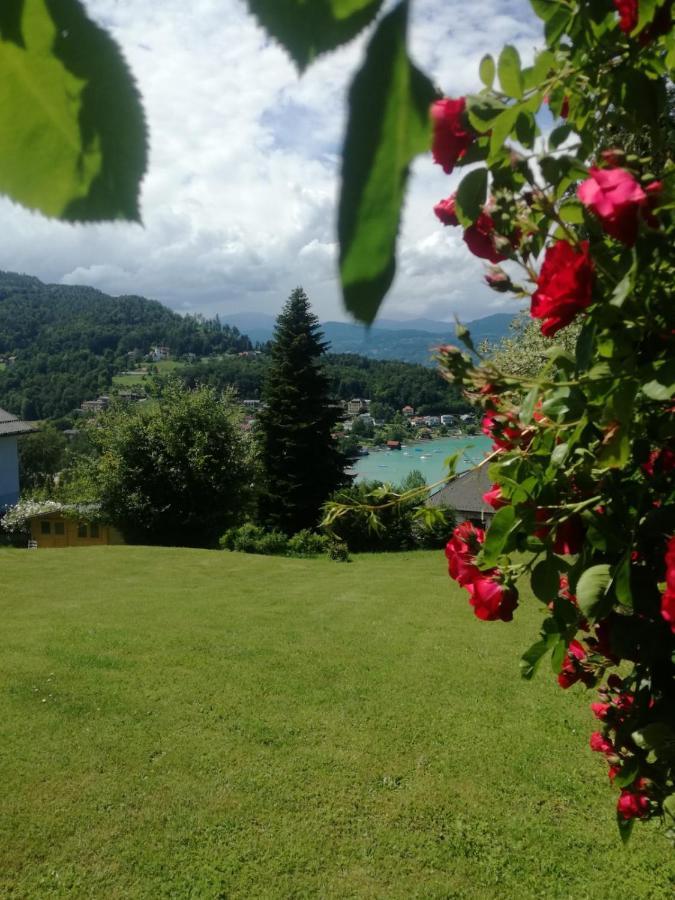 Hotel Garni Haus Am Wald Reifnitz Buitenkant foto